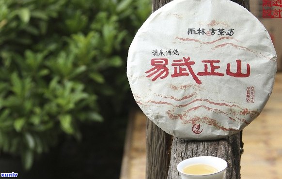 易武正山小树普洱茶