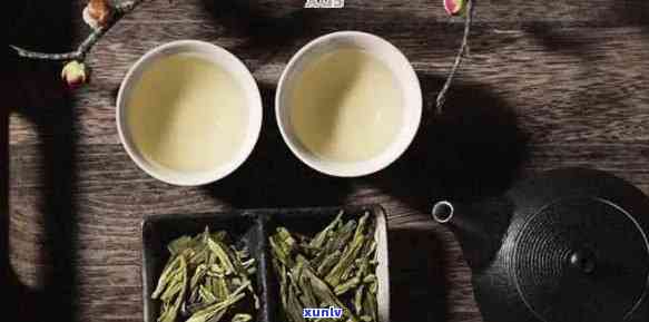 龙井茶与普洱茶：口感特点、功效比较及适合的饮茶场景