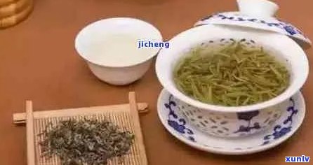 雀舌和普洱茶哪个好