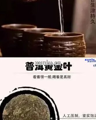 普洱茶黄金叶有收藏价值吗？多少钱？