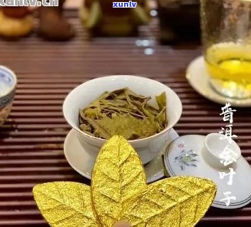 普洱茶黄金叶能喝么