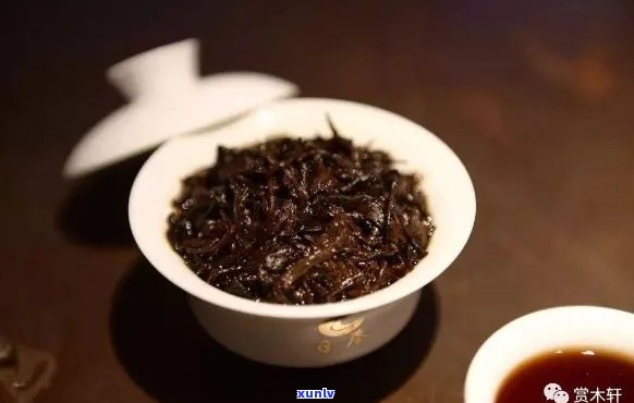 普洱茶口感鉴：如何挑选具有独特风味的茶叶？