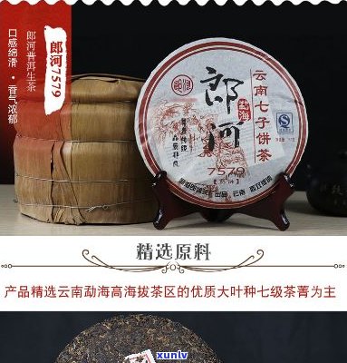 郎河普洱茶7579:品种、产地、品质、 *** 工艺及品鉴 *** 一文解析