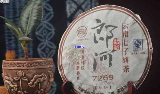 郎河普洱茶7269官方旗舰店怎么样？熟茶口感如何？价格表是多少？