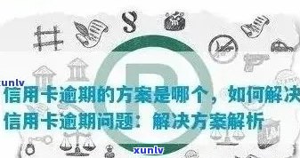 信用卡逾期原因全方位解析：用户必知的各项因素与解决策略