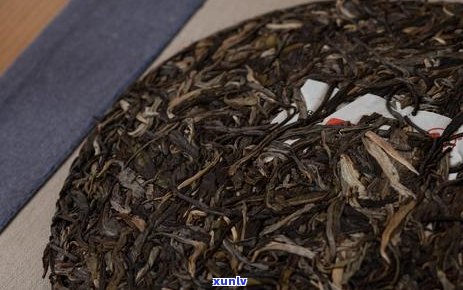 如何在下雨天享受普洱茶的美好？- 提供在雨天里品茗普洱的建议和技巧