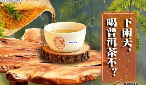 下雨天喝熟普：洱茶好处多，消暑解渴又养生