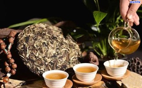 普洱茶：一种独特的绿茶，品味与泡法全解析