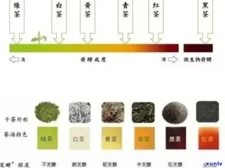 普洱茶的滋味、色及其两者之间的关系：一篇全面的解析