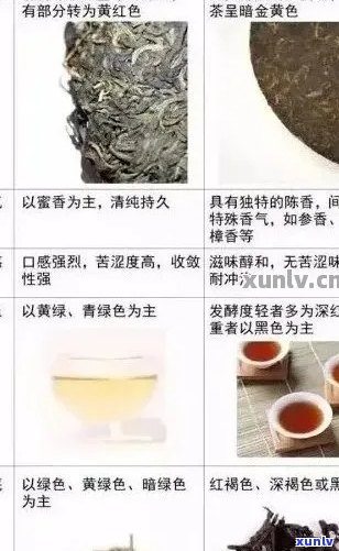 普洱茶色品鉴：从色泽、清澈度到光泽度的全方位分析与解读