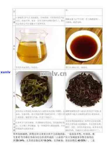 普洱茶饮料做法大全：教你如何 *** 美味普洱茶饮料，包括配方和功效作用。