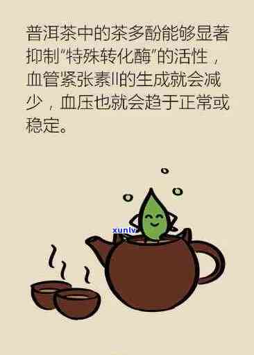 普洱茶对脑供血不足的缓解作用及其科学依据