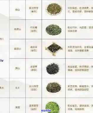 普洱茶子青品种及价格一览表：全面了解各种口味普洱茶的价格和特点