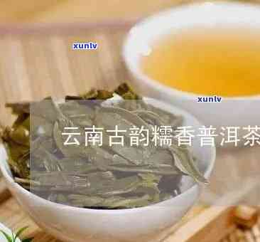 古滇袖韵普洱茶价值