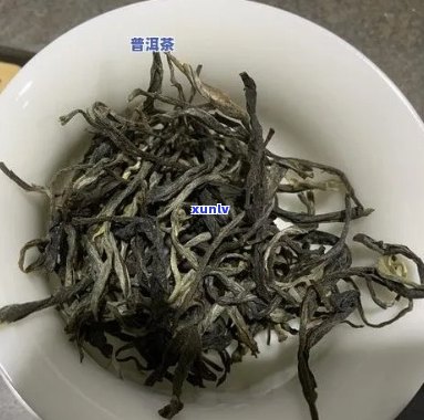 普洱茶大白菜品种特点及含义