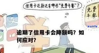 新信用卡逾期不还会产生哪些严重后果？如何有效避免消户问题？