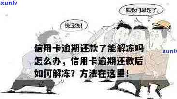 信用卡逾期还款后解冻步骤详解：如何恢复信用、消除罚息及避免进一步影响