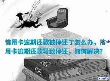 信用卡逾期后如何彻底解决止付问题：全面指南与实用建议