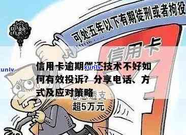 信用卡逾期应对策略：寻求村主任建议及相关服务