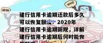 信用卡逾期还款后，建行的恢复使用时间及相关注意事项解析