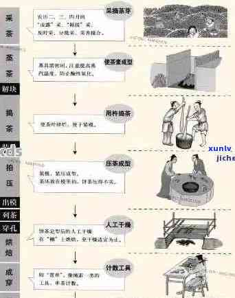普洱茶的加工程序有