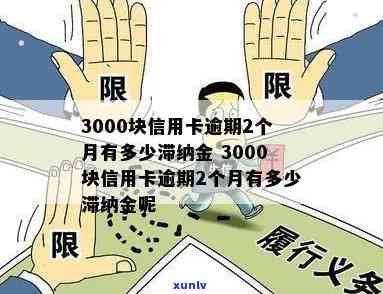 信用卡逾期3000元一个月的罚息和滞纳金详细计算