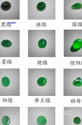 翡翠种的划分标准及其科学依据：从颜色、质地到工艺的全方位解析