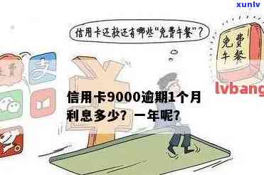 中信信用卡9000逾期近一年利息及处理方式