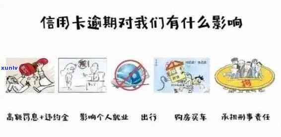 信用卡逾期是否会影响荷兰签证申请？如何解决逾期问题以避免影响签证办理？