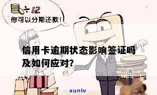 '信用卡逾期办荷兰签证是否可行？'