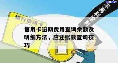 信用卡逾期金额如何查看完整明细