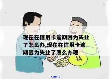 信用卡逾期还款困扰：失业状态下如何应对及解决 *** 全解析