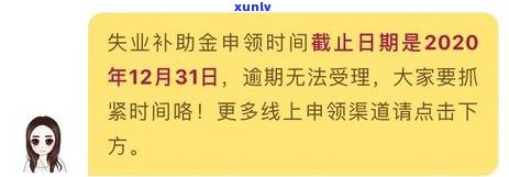 失业补助金与信用卡逾期还款：关联及可能的影响