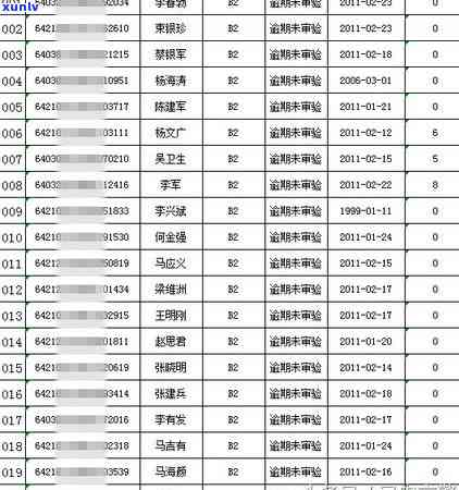 信用卡逾期明细表查询全攻略：如何获取详细逾期信息及解决方案