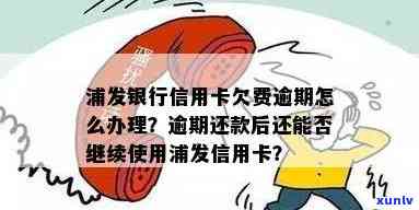 逾期还款后浦发信用卡还能否继续使用？