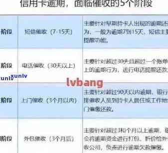 信用卡逾期还款解决方案：微信流水记录、处理 *** 及风险防范全解析