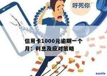 信用卡逾期还款1000多元，可能产生的后果及应对策略详解