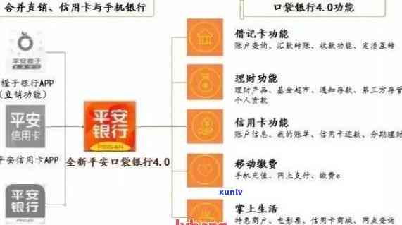 新逾期风险升级！如何有效管理平安信用卡账户，确保财务安全？