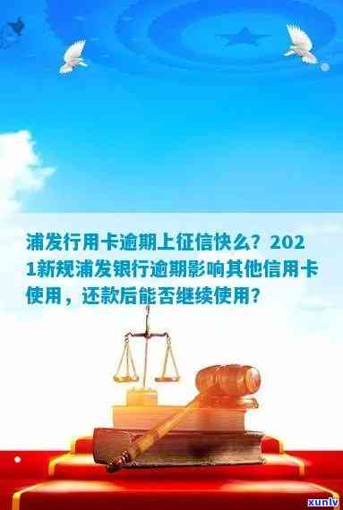 上海信用卡逾期名单公示与查询 *** ：2021年信用卡逾期上及名单详情