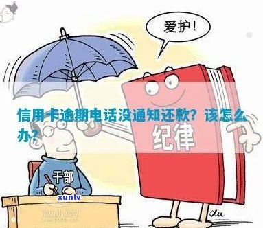 信用卡逾期突然没有 *** 通知怎么办？