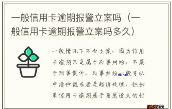 信用卡逾期公安报案备案：流程、作用、时间与兴银行案例分析