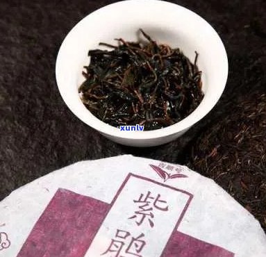 普洱茶紫娟的特色与口感：一次全面的品鉴之旅