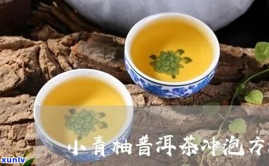 小青柚普洱茶怎么泡