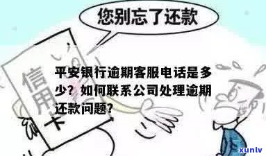 关于平安银行信用卡逾期问题，如何通过 ***  *** 进行解决和沟通？