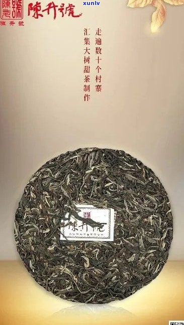 陈升号大白菜普洱茶：不忘初心，品味经典