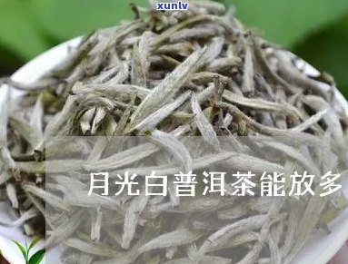 月光白普洱茶保质期及存放时间：特点、品种与存解析