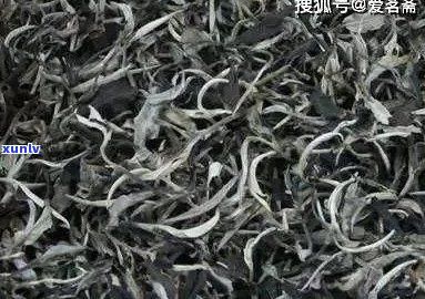 月光白普洱茶保质期及存放时间：特点、品种与存解析