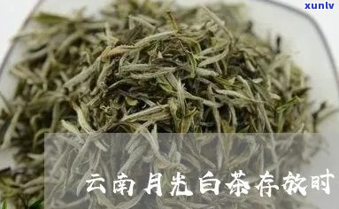 普洱月光白茶叶的保存期限及如何长保质期