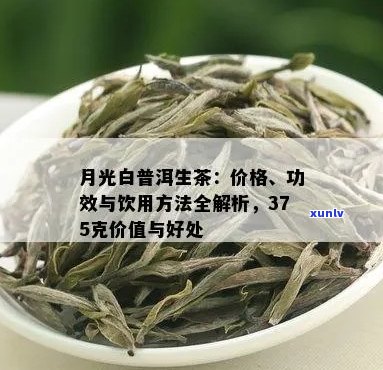 月光白普洱生茶：价格、功效和作用详解，品饮 *** 与375克价值分析