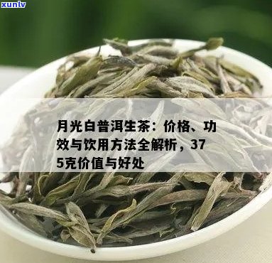 月光白普洱生茶：价格、功效和作用详解，品饮 *** 与375克价值分析